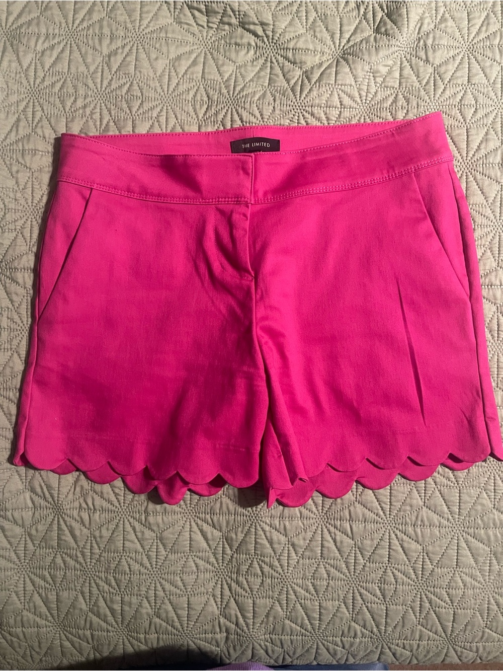 The Limited Bright Pink Scallop Hem High Waist Shorts